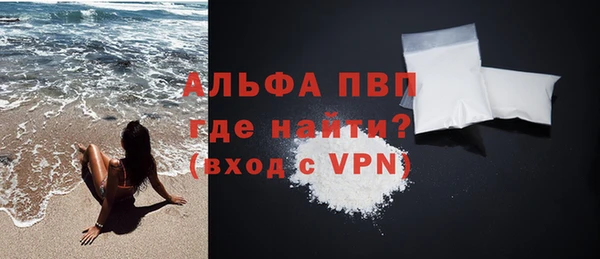стафф Арсеньев