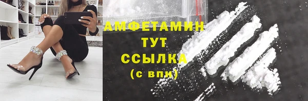 прущий лед Алзамай