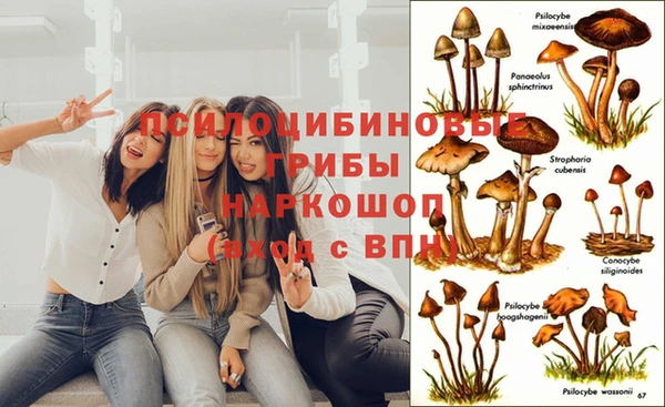 прущий лед Алзамай